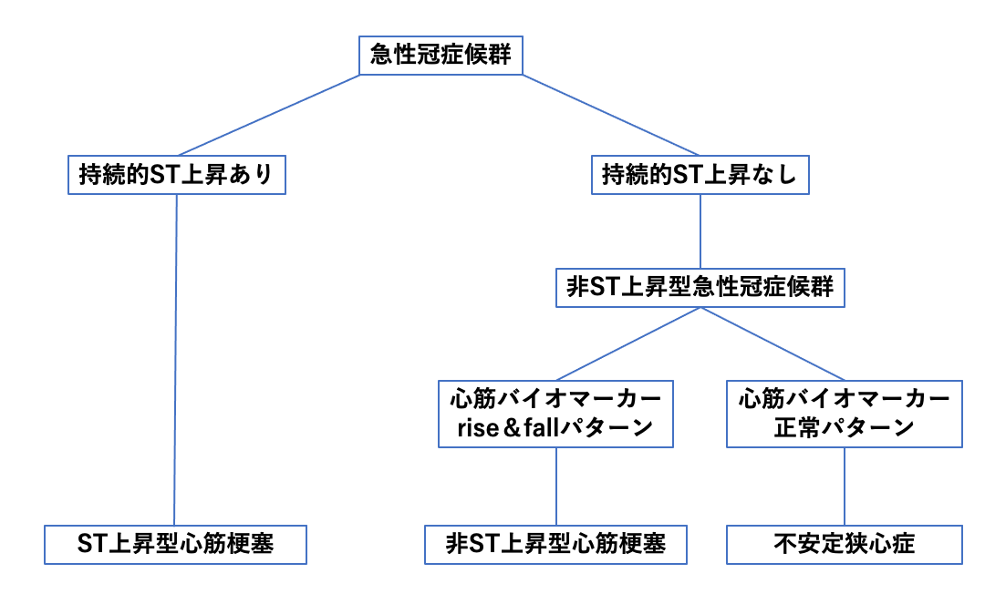 急性胸部症候群の潜在的な合併症